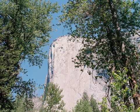 yosemite-on-film-15-of-42(pp_w480_h385) Yosemite on Film - Seattle Travel Photographer Travel 