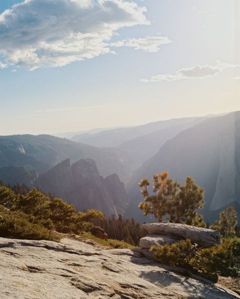 yosemite-on-film-31-of-42(pp_w480_h598) Yosemite on Film - Seattle Travel Photographer Travel 