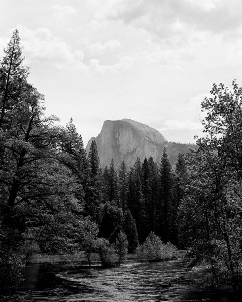 yosemite-on-film-4-of-42(pp_w480_h598) Yosemite on Film - Seattle Travel Photographer Travel 