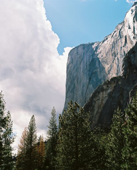 yosemite-on-film-41-of-42(pp_w480_h598) Yosemite on Film - Seattle Travel Photographer Travel 