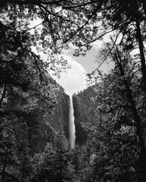 yosemite-on-film-7-of-42(pp_w480_h598) Yosemite on Film - Seattle Travel Photographer Travel 